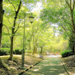 東日本ハイウェイ公園イメージ